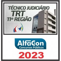 TRT 11ª REGIÃO – AM/RR (TÉCNICO JUDICIÁRIO – ÁREA ADMINISTRATIVA) PÓS EDITAL